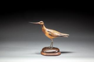 Appraisal: Calling Hudsonian Godwit by William Gibian b Calling Hudsonian GodwitWilliam