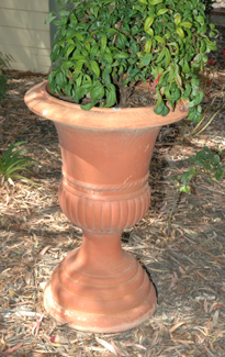 Appraisal: THREE REGENCY STYLE TERRACOTTA URNS cm high