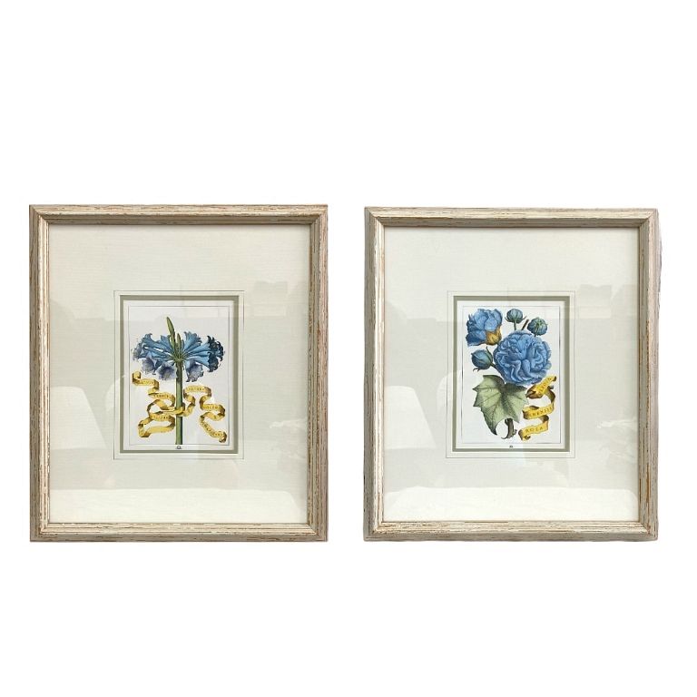 Appraisal: Pair of Decorative Floral Prints Pair of Decorative Floral Prints