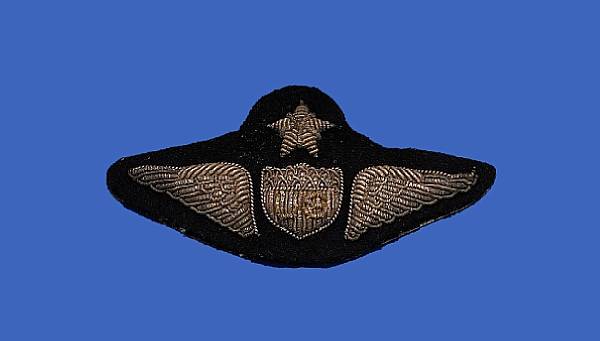 Appraisal: An October pattern embroidered Pilot's wing In bullion embroidery on