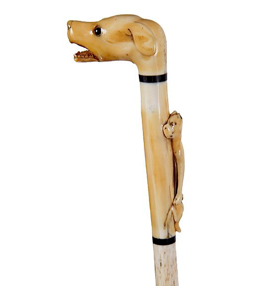 Appraisal: Nautical Dog Cane Ca - A walrus ivory carved dog's