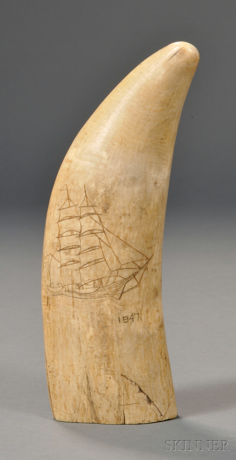 Appraisal: Whale's Tooth Engraved with Whale Ship and Spouting Whale dated