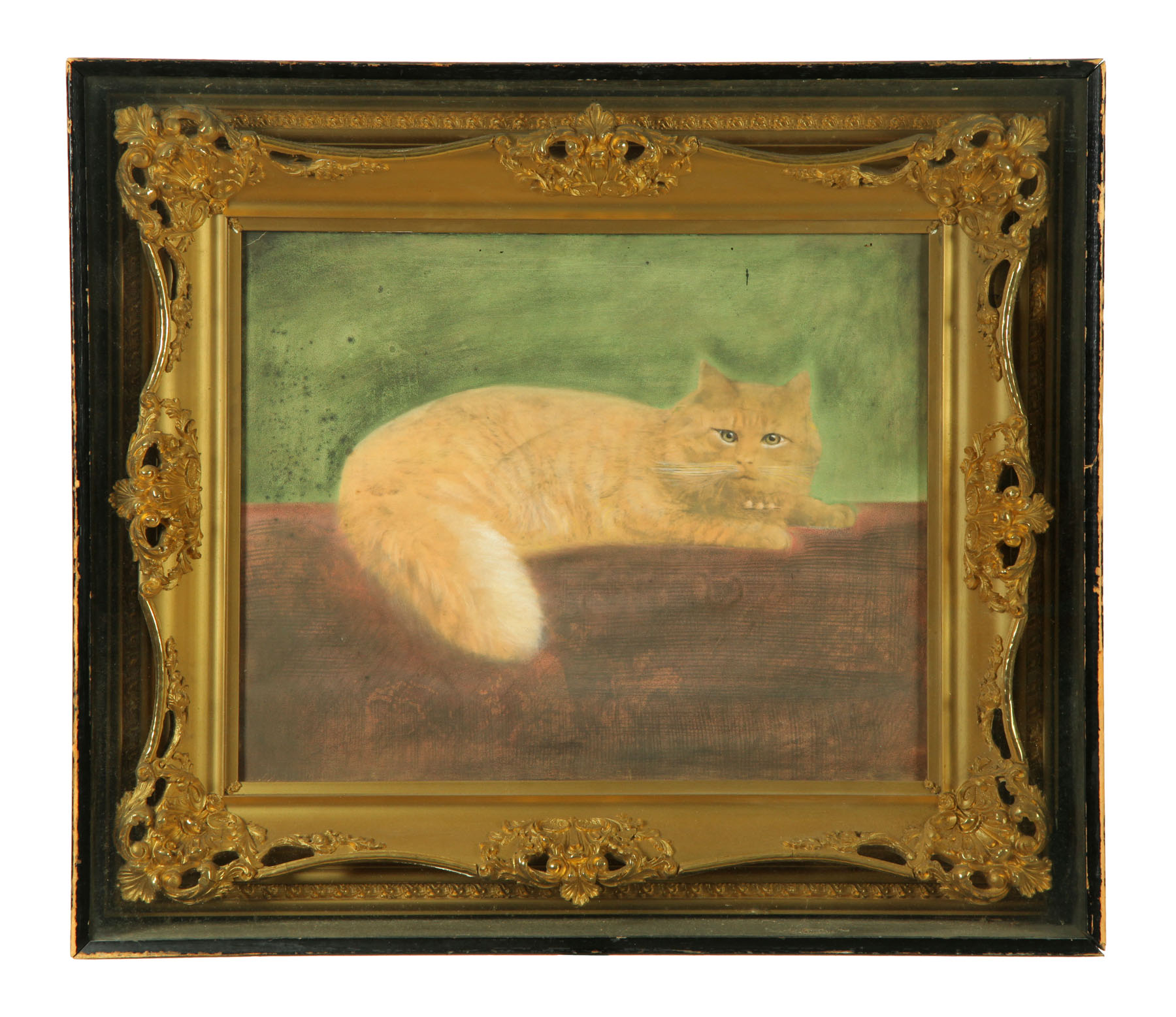 Appraisal: PORTRAIT OF A CAT AMERICAN ND HALF- TH CENTURY Pastel