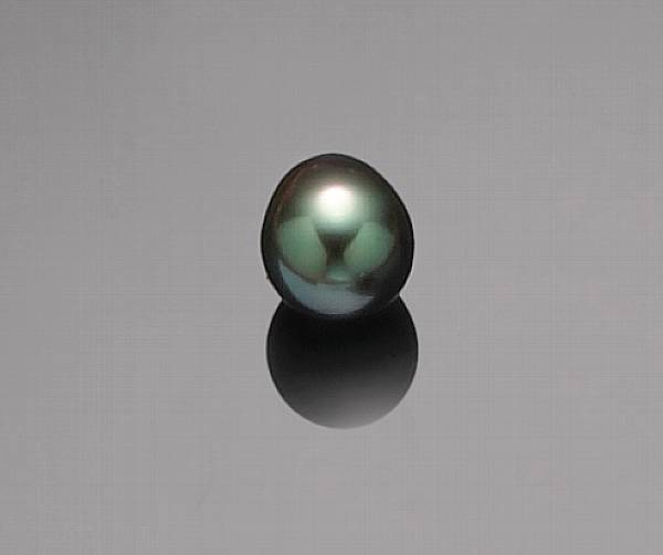 Appraisal: Natural Black Color Cultured Pearl Pinctada maragaritifera var cumingui Tahiti