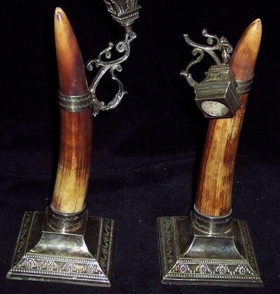 Appraisal: A pair of tusks each mounted a Sheffield plate stand