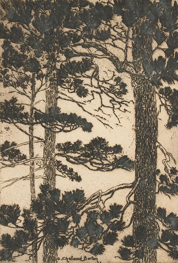 Appraisal: Samuel Chatwood Burton Trees Etching Samuel Chatwood Burton American -