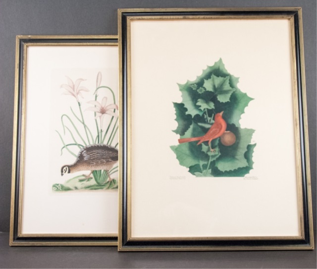 Appraisal: Two Prints After Catesby To include two framed prints The