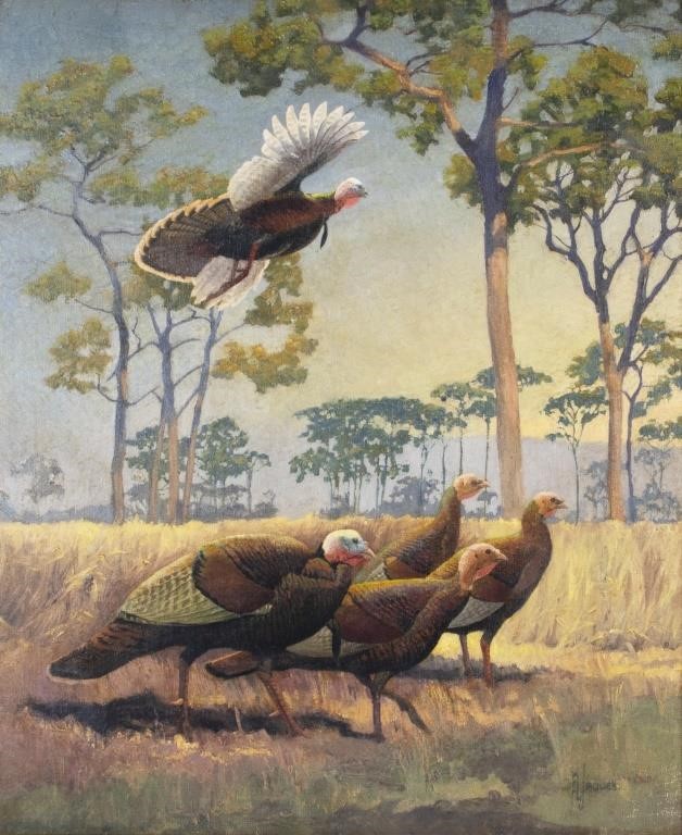 Appraisal: FRANCIS LEE JAQUES - Wild Turkey signed F L Jaques