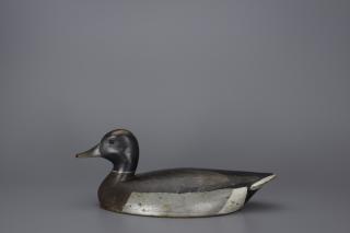 Appraisal: Mallard Drake John R Wells Mallard Drake John R Wells