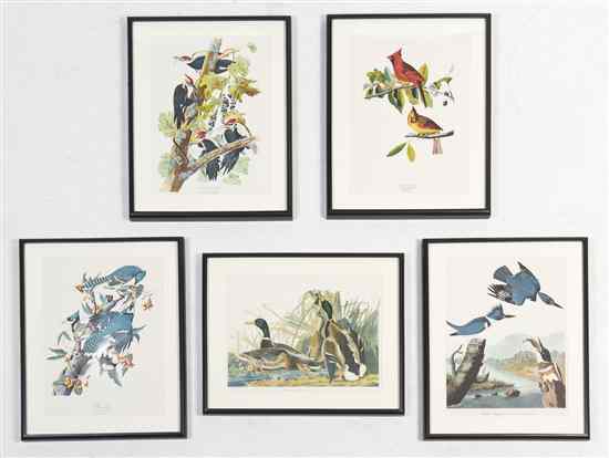 Appraisal: After John James Audubon American - A group of five