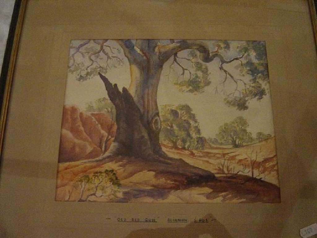 Appraisal: A watercolour of an Australian red gum tree inscribed to