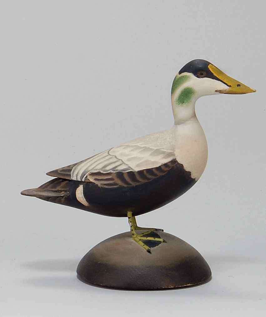 Appraisal: MINIATURE EIDER DRAKE By James Lapham of Dennisport Massachusetts Signed