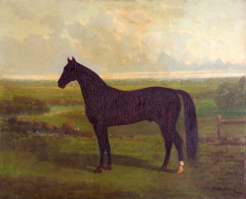 Appraisal: Theodore Marsden Australian th c Untitled Horse Portrait Oil on