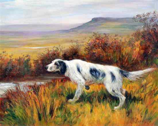 Appraisal: John E Sutcliffe - oil on canvas English Setter in