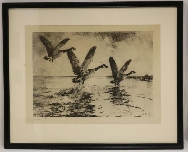 Appraisal: FRANK BENSON - MASS FRAMED BLACK ANDWHITE LITHOGRAPH DEPICTING GEESE