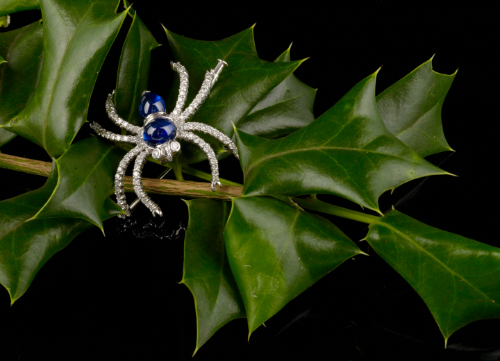 Appraisal: Eighteen-Karat White Gold Sapphire and Diamond Spider Brooch the abdomen