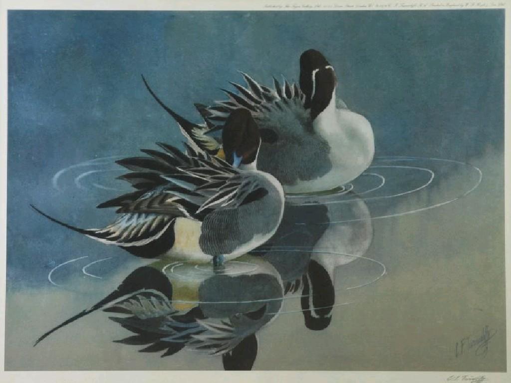 Appraisal: CHARLES FREDERICK TUNNICLIFFE - ARTIST SIGNED LIMITED EDITION COLOUR PRINT