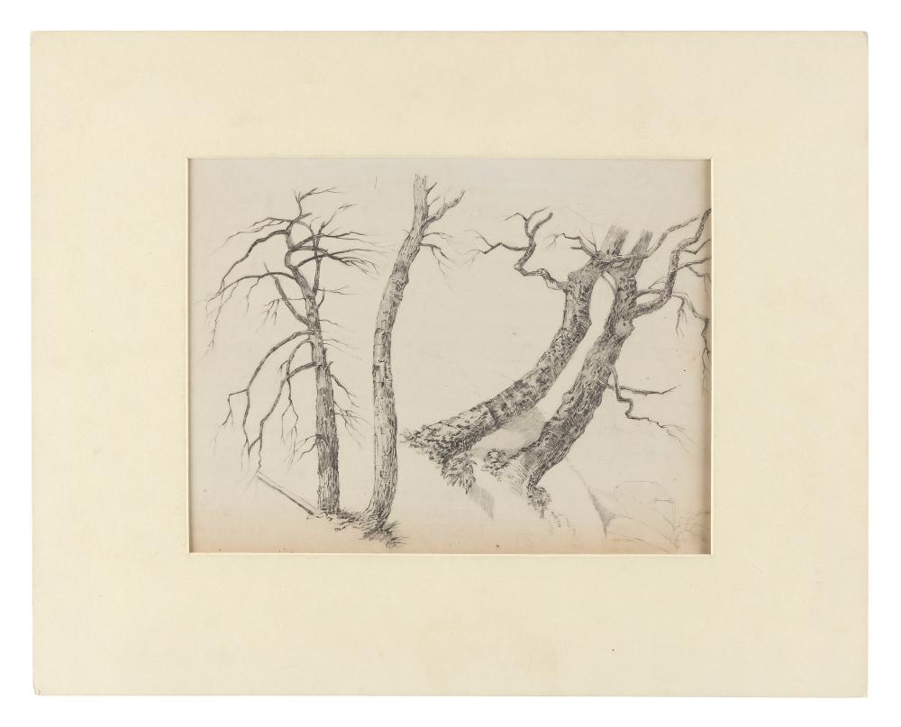 Appraisal: JOHN WILLIAM CASILEAR NEW YORK VERMONT - STUDY OF TREES