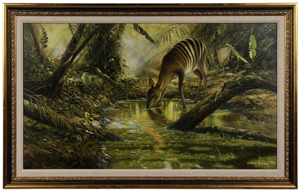 Appraisal: Craig Bone Florida Rhodesia born Zebra Duiker Drinking from a