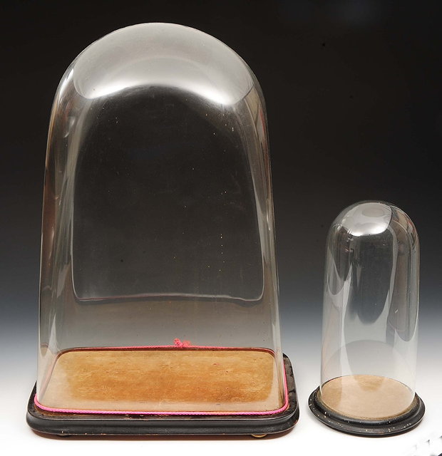 Appraisal: A Victorian glass domeof rectangular section with velvet lined wooden