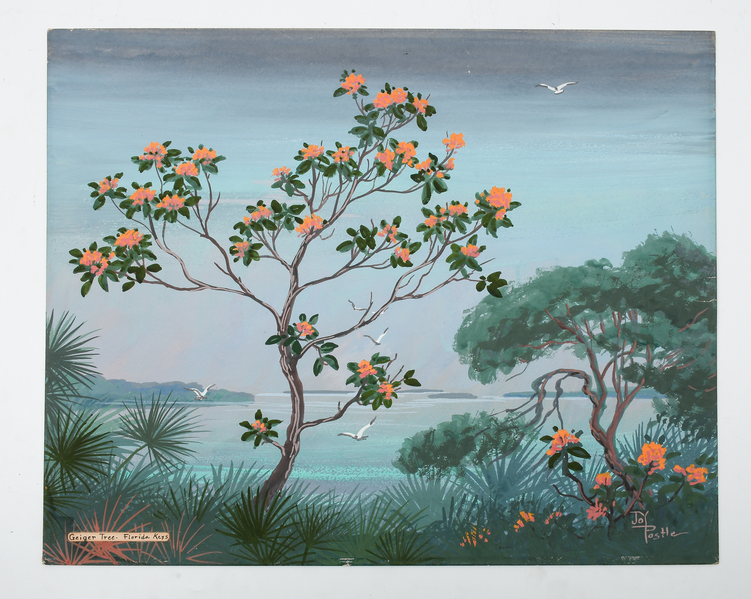 Appraisal: POSTLE Joy American - Geiger Tree Florida Keys Gouache Board