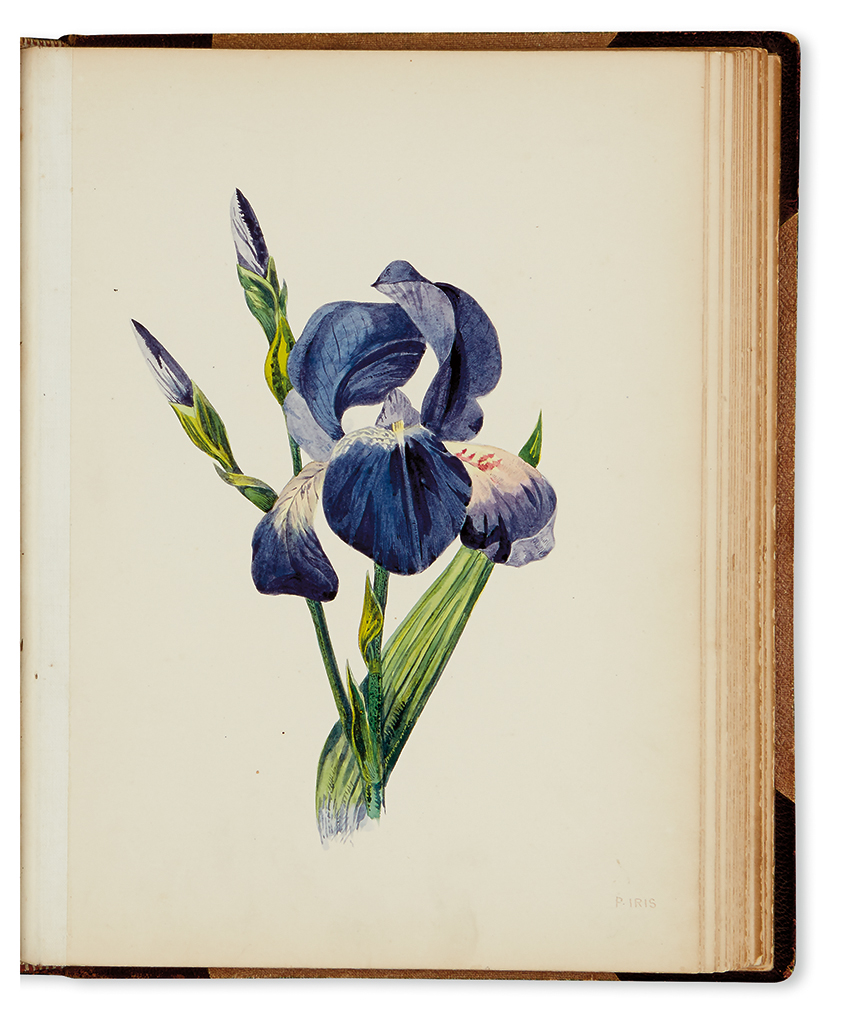 Appraisal: BOTANICAL Ross John and Ross Jane Album of botanical watercolors