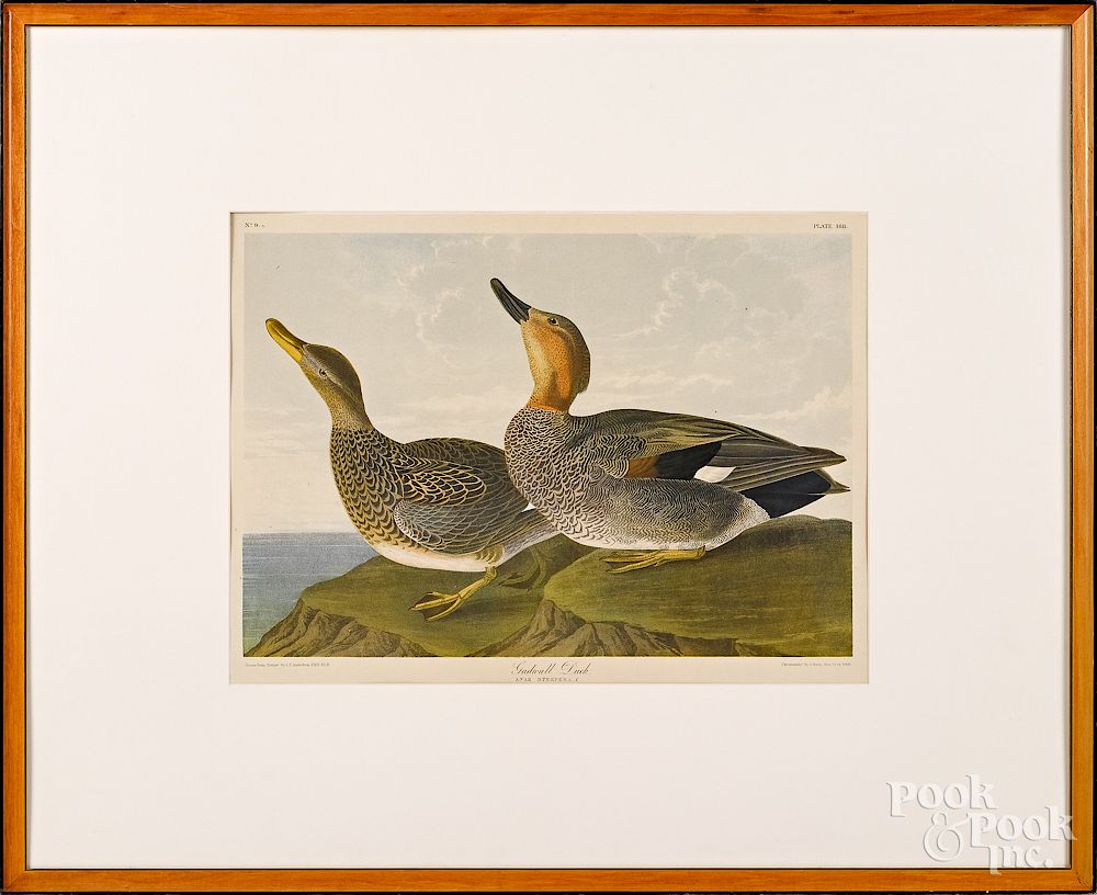 Appraisal: After John James Audubon chromolithograph Exclusive on Bidsquare After John