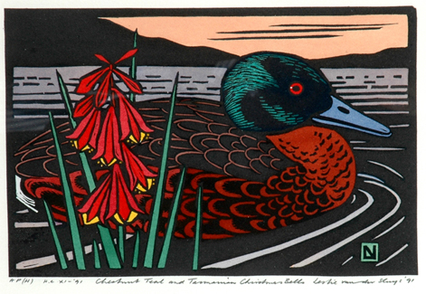 Appraisal: LESLIE VAN DER SLUYS b - Chestnut Teal and Tasmania