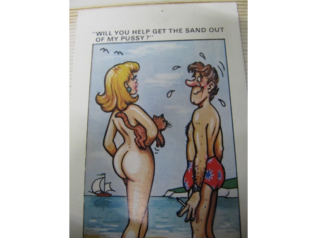 Appraisal: Album of saucy postcards