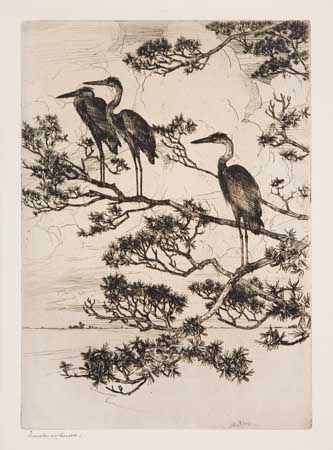 Appraisal: FRANK W BENSON Herons in a Pine Tree Etching x