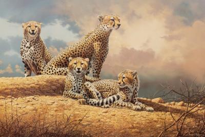 Appraisal: Adrian C Rigby born Cheetah at Rest limited edition numbered