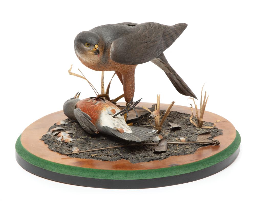 Appraisal: Louisiana Carved and Painted Grouping of a Cooper's Hawk and