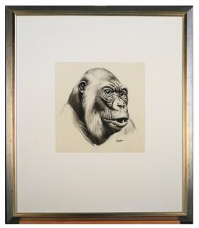 Appraisal: Kiska American thc Gorilla Ink on paperSigned lower right in