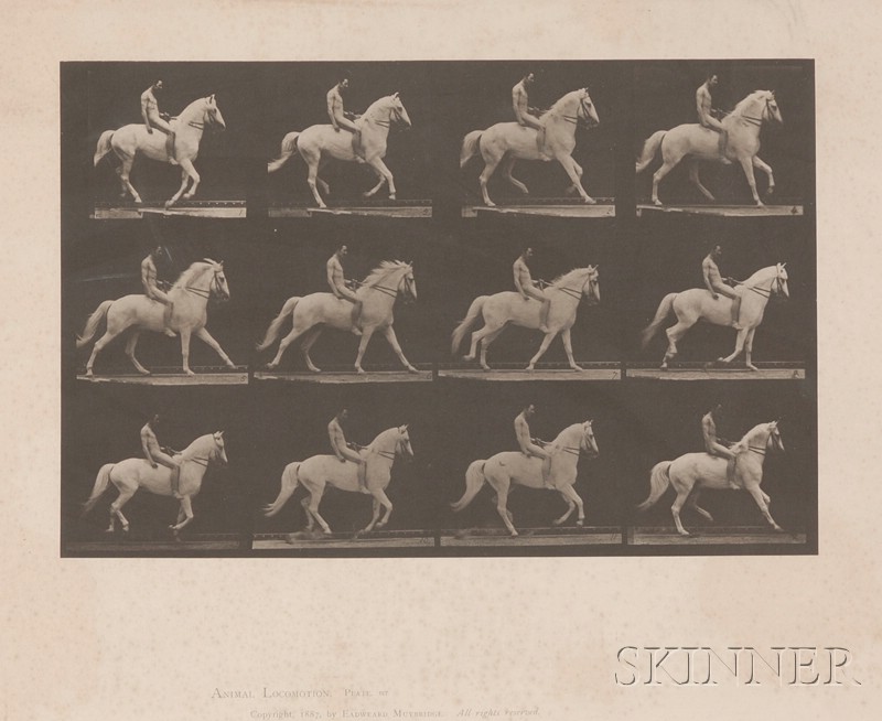 Appraisal: Eadweard Muybridge British American - Animal Locomotion plate taken from