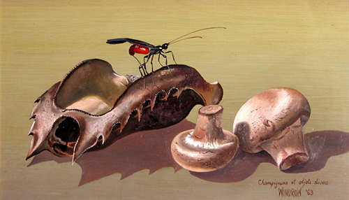 Appraisal: Champignons et objects divers Windrow Patricia Hope oil on wood