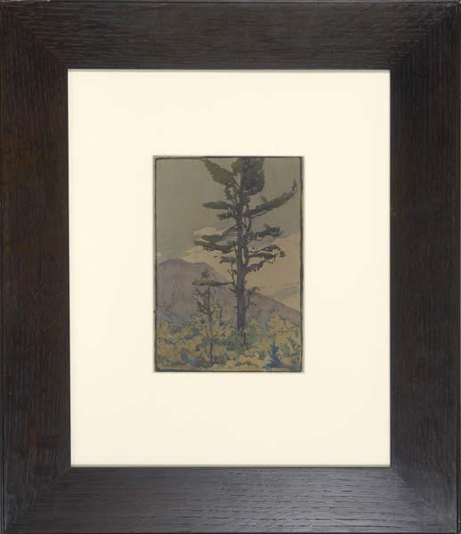 Appraisal: ELIZA DRAPER GARDINER Watercolor of a tall tree in mountainous