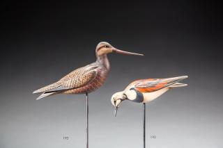 Appraisal: Hudsonian Godwit by William Gibian b Hudsonian GodwitWilliam Gibian b