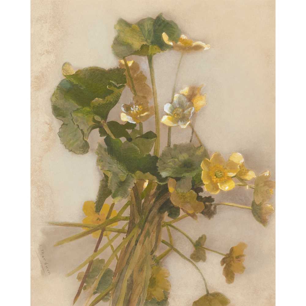 Appraisal: ARCHIBALD THORBURN SCOTTISH - MARSH MARIGOLDS Signed watercolour on buff