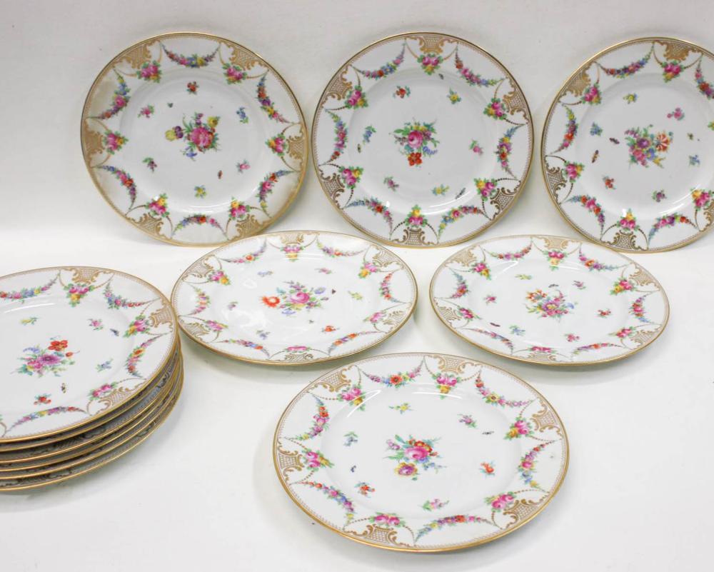 Appraisal: SET OF TWELVE DRESDEN PORCELAIN DINNER PLATES hand painted in