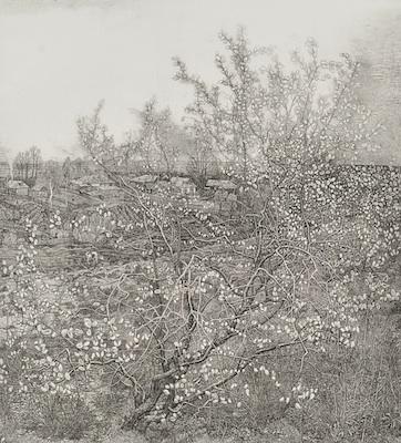 Appraisal: Stanislav Nikireyev Russian - Pussy Willow Silence Etching on paper