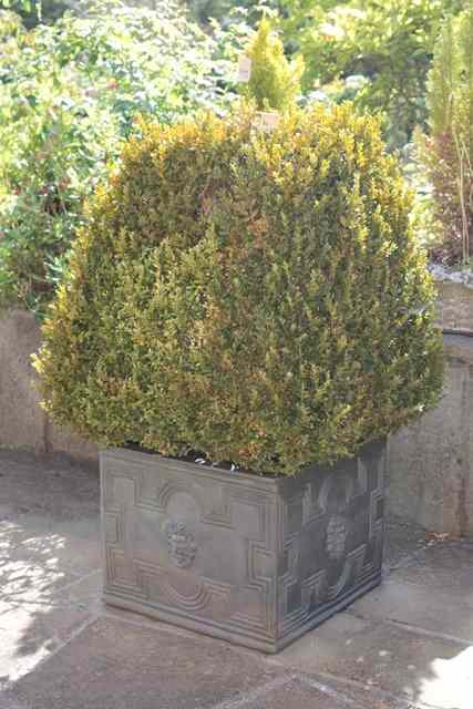 Appraisal: A SET OF FOUR COMPOSITE FAUX LEAD SQUARE PLANTERS each