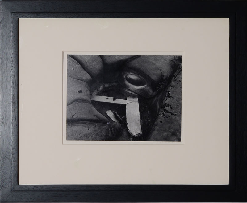 Appraisal: MINOR WHITE - DRIFTWOOD AND EYE Gelatin silver print signed