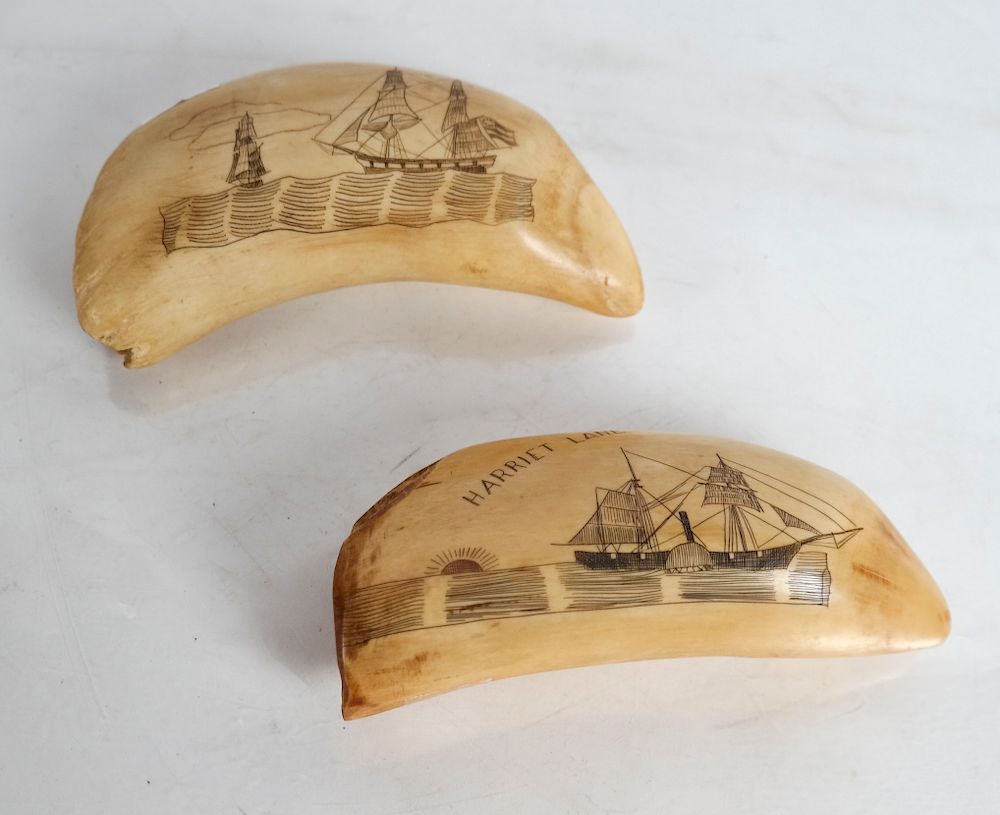 Appraisal: Two Scrimshaw Tooth Carvings - Harriet Lane Oth One depicting