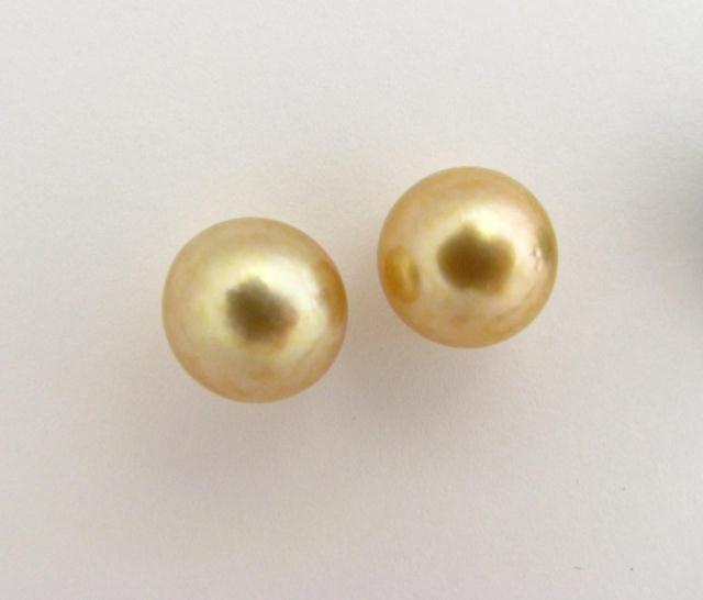 Appraisal: Lady's k Golden South Sea Pearl Stud Earrings