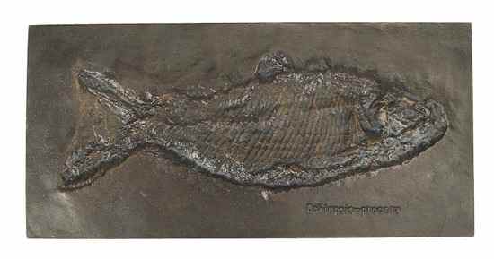 Appraisal: A German bronze panel cast with a prehistoric fish in