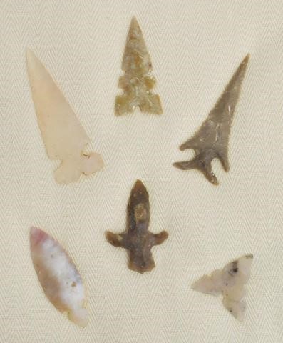 Appraisal: lot of Native American Texas found arrowheads housed in case