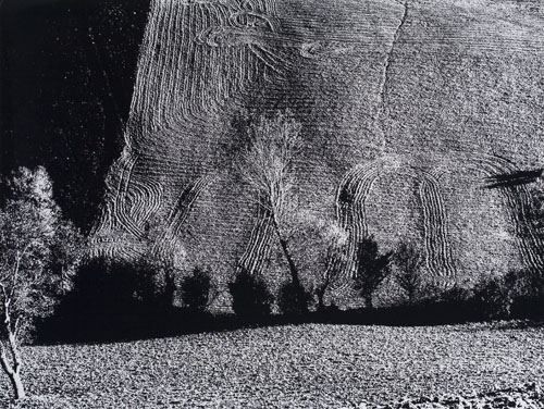 Appraisal: GIACOMELLI MARIO - Presa di Coscienza Sulla Natura Silver print