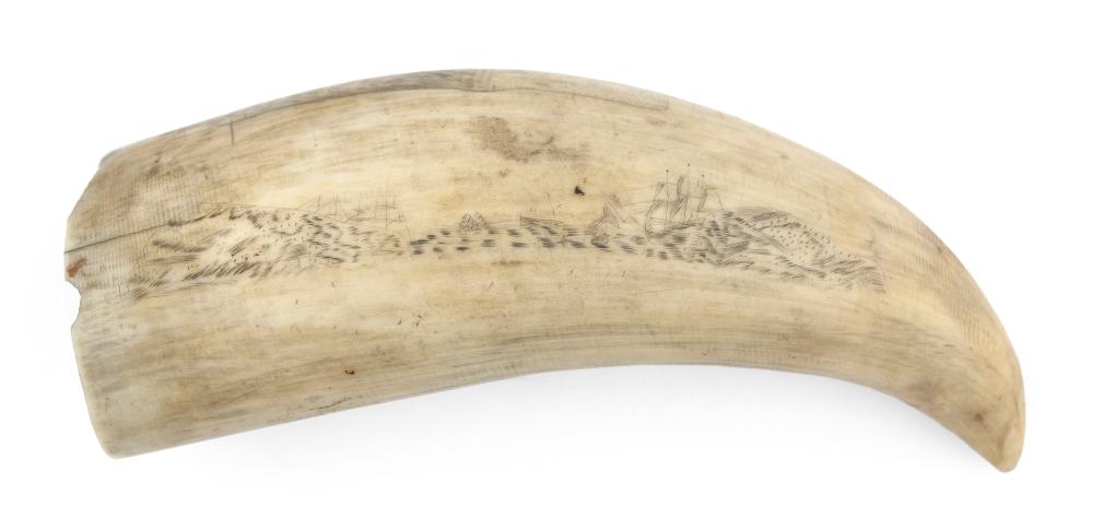 Appraisal: SCRIMSHAW WHALE S TOOTH WITH WHALING MOTIFS MID- TH CENTURY