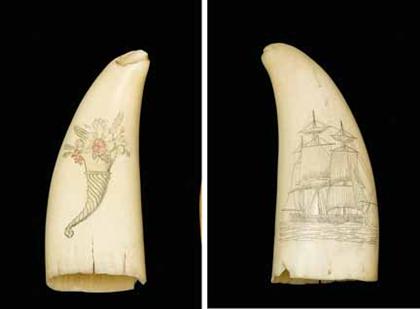 Appraisal: Scrimshaw-decorated whales tooth th century Decorated with three masted ship