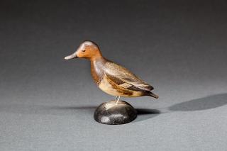 Appraisal: Miniature Canvasback Hen A Elmer Crowell - East Harwich MA